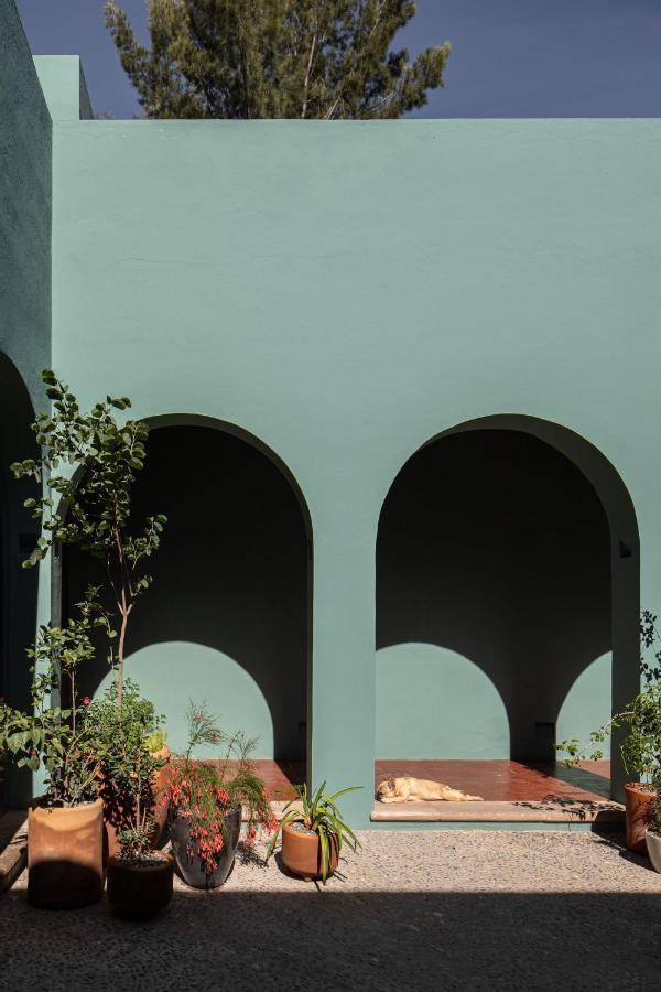 Holt Balcones Guesthouse - King Bed Room San Miguel de Allende Bagian luar foto